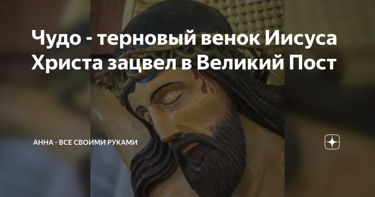 Чудо - терновый венок Иисуса Христа зацвел в Великий Пост | Анна - все ...