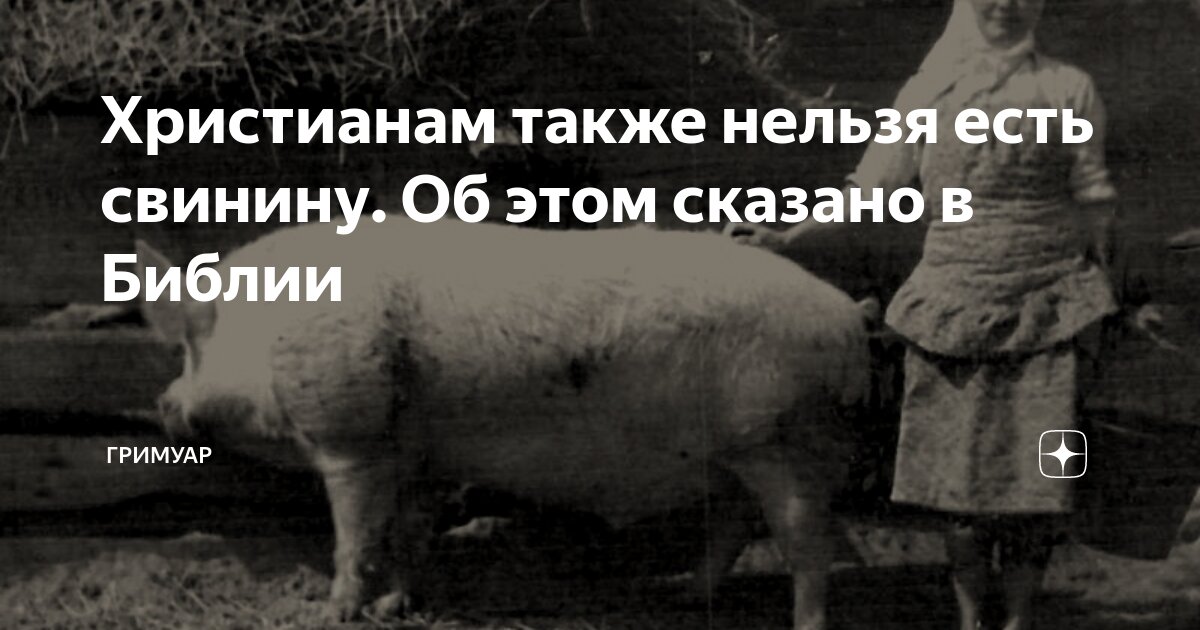 в какой главе библии написано что нельзя есть свинину