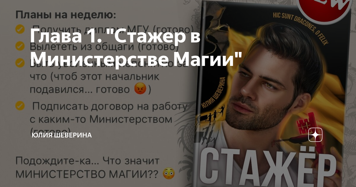 Стажировка в министерстве магии. Стажировка в министерстве магии