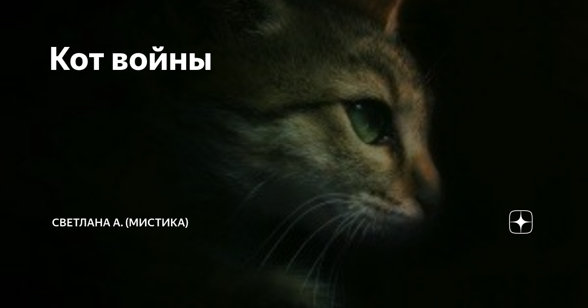 Кот войны | Светлана А. (Мистика) | Дзен