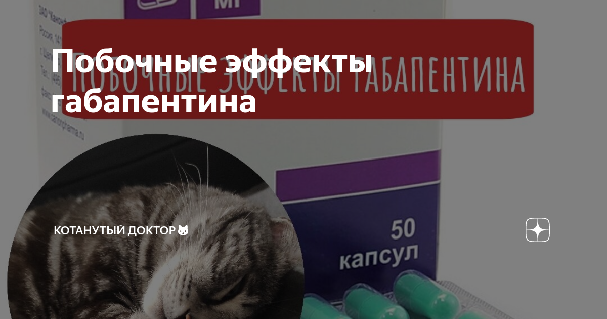 Габапентин коту зачем. Габапентин коту зачем