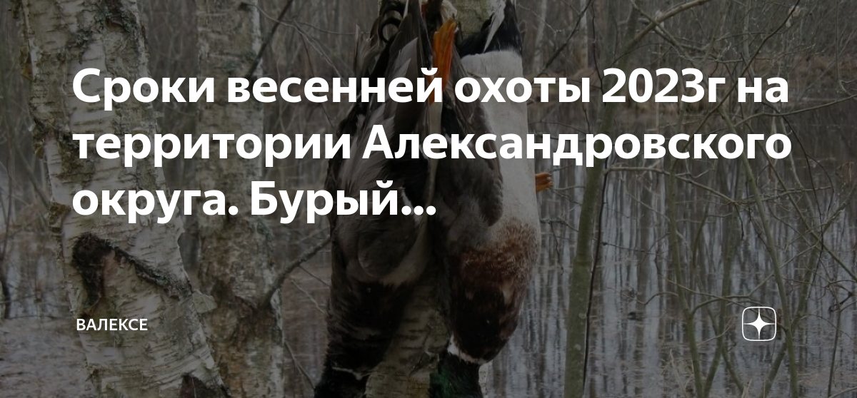 Сроки осенней охоты 2024 года. Весенняя охота