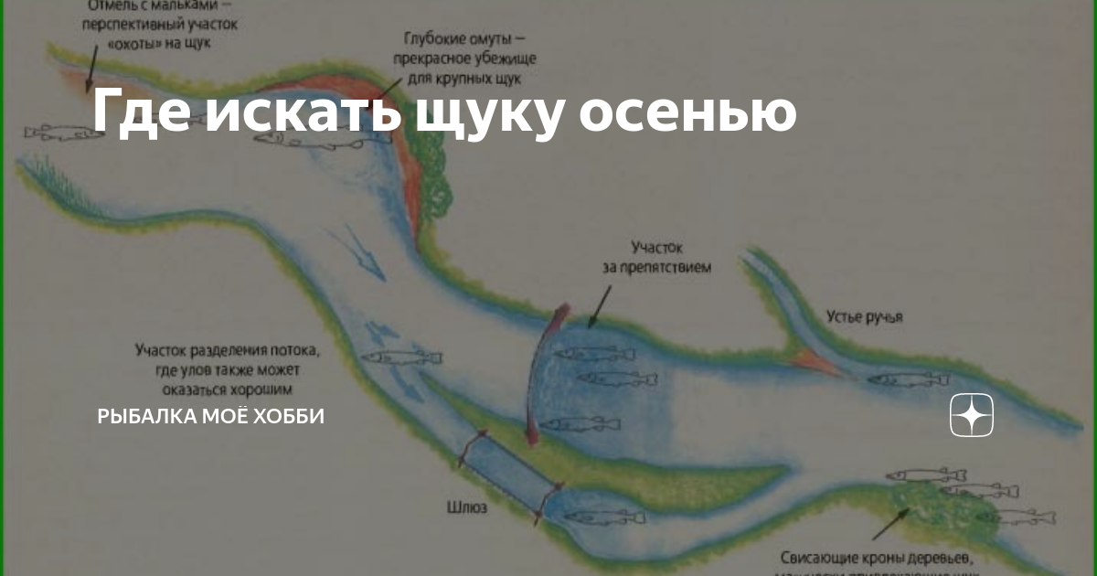 Где искать щуку весной на реках и озерах? Mad Fisher Делюсь опытом и мыслями о р