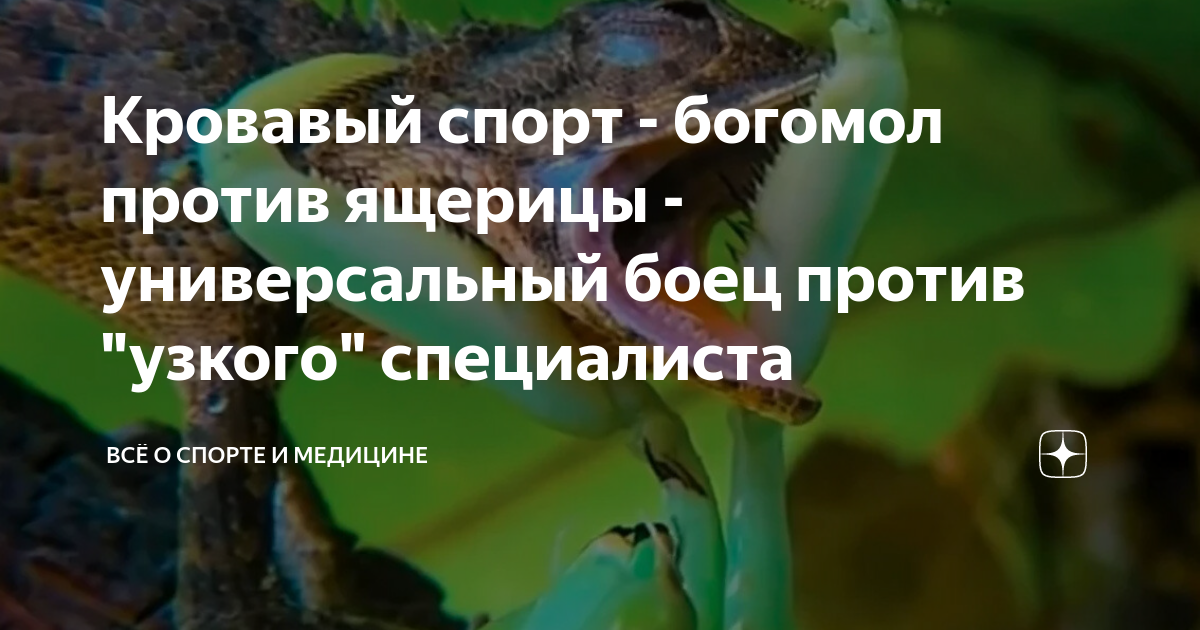 Русские не против ящерок на андроид. Лекарство против ящерицы. Рсусы не против ящерок. Росы не против ящерок. Люди не против ящерок прохождения.