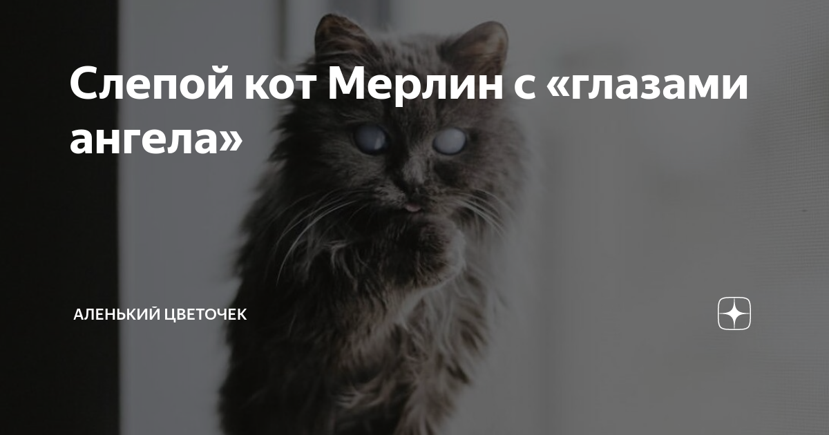 Сила общения и коммуникации