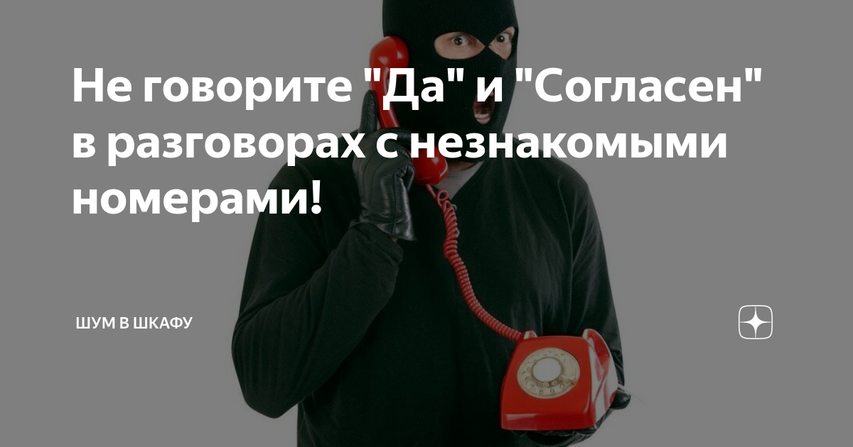 Что сердце заставляет говорить проект