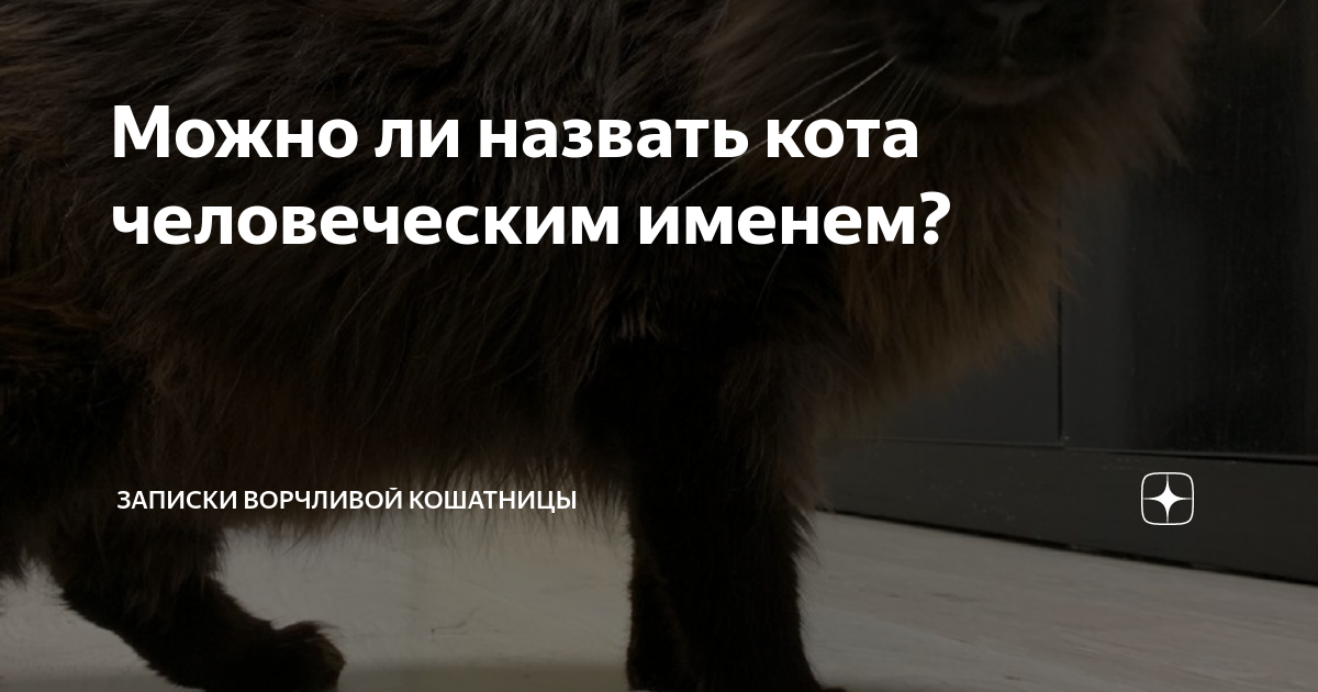 Почему домашних животных запрещено называть именем человека?