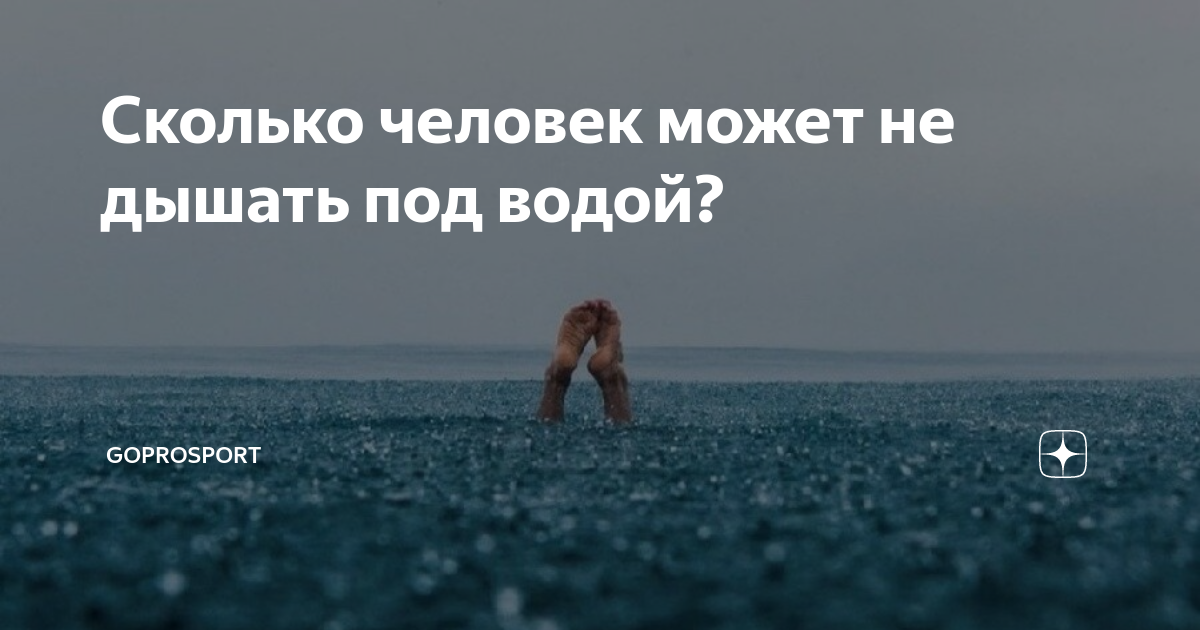 Научи дышать под водою ты же как то дышишь тень звезды