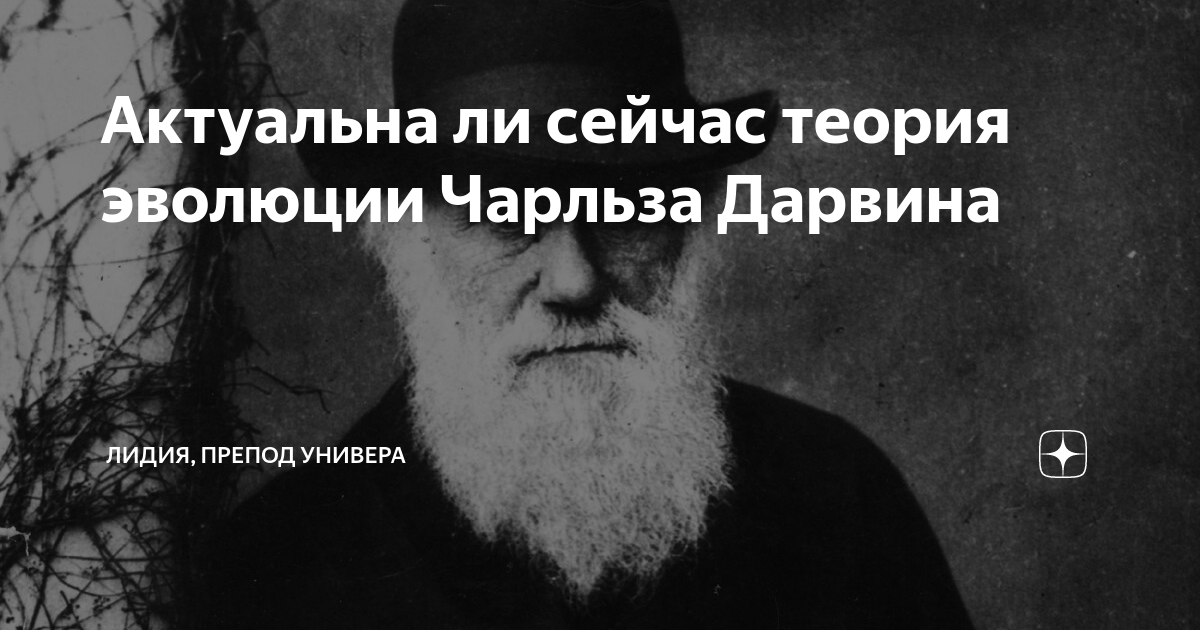 Актуальна ли сейчас видеокарта титан