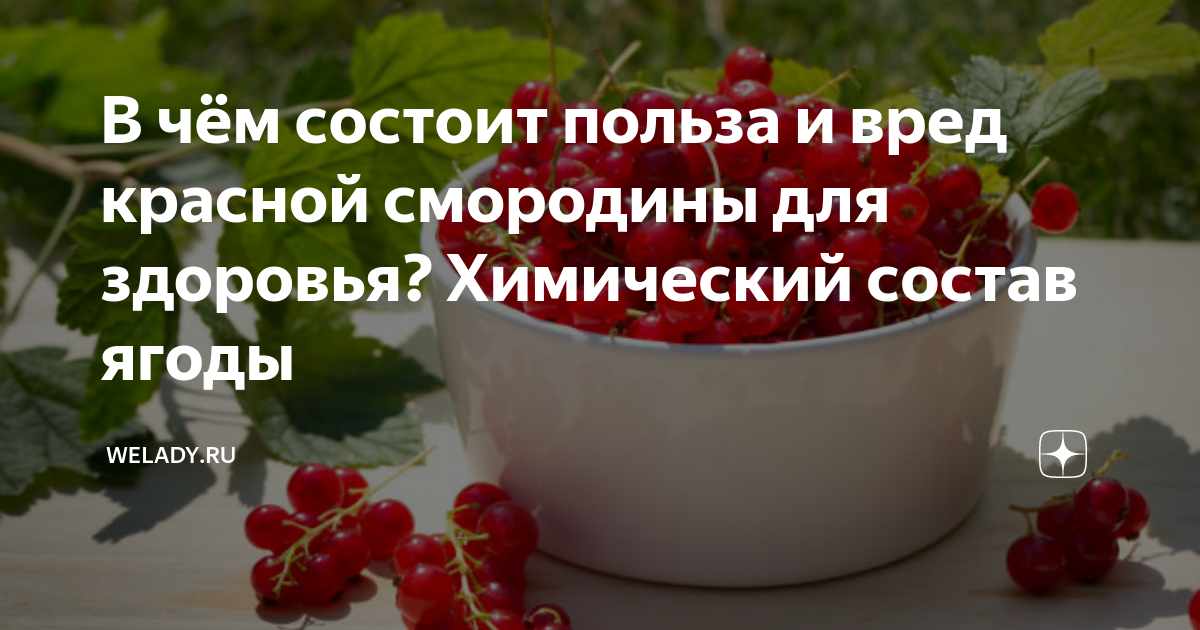 Красная смородина химический состав. Красная смородина польза и вред. Чем полезна красная смородина для организма человека.