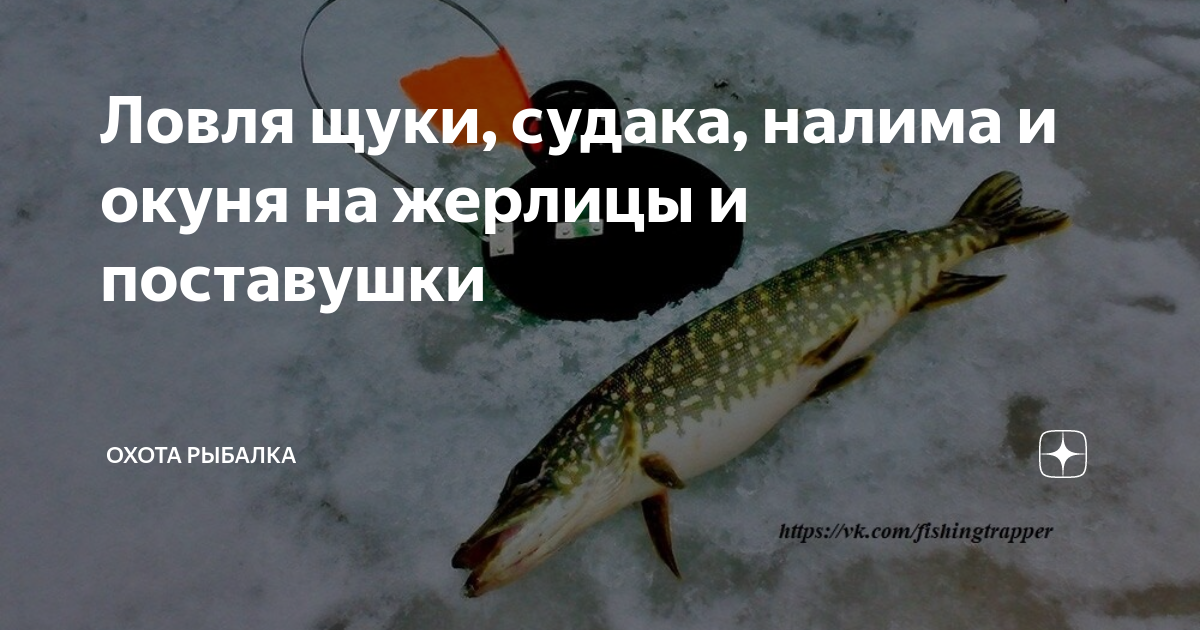 Поставушка на щуку зимой: секреты успешной рыбалки