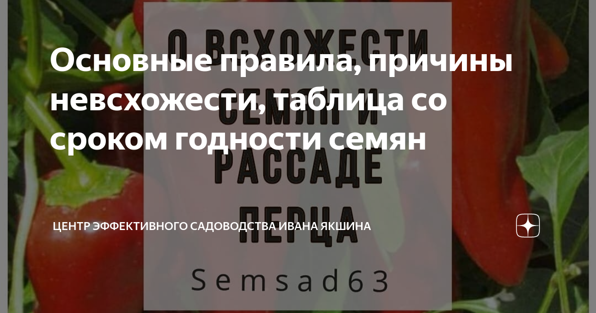 Годность семян перца болгарского