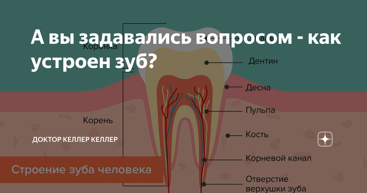 Болит зуб.