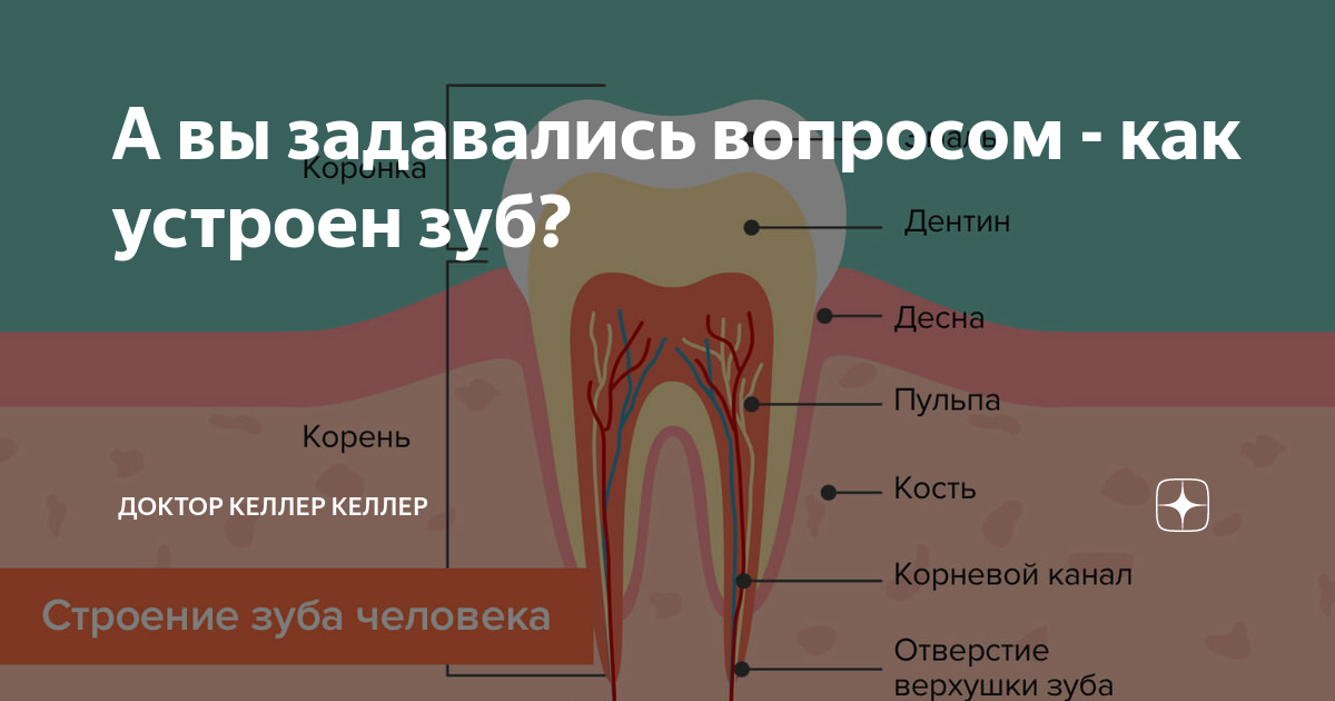 Почему я сладкая