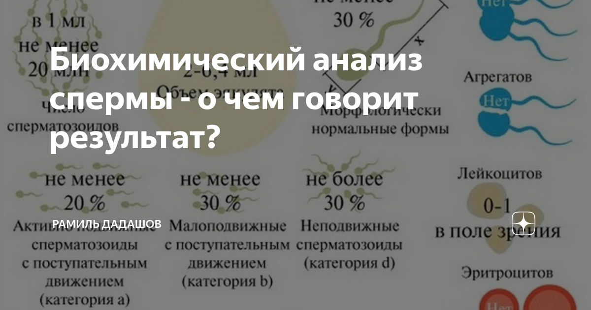 О чем говорит результат. О чем говорит результат. Пцр тест. О чем говорит результат. О чем говорит результат.