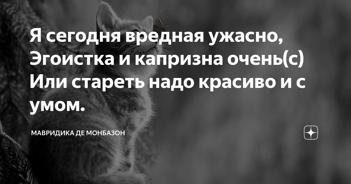 Дзен мавридика де монбазон рассказы. Мила из яндекс дзен. Мавридика де монбазон. Мавредика дзен де. Мавридика де монбазон навигатор.