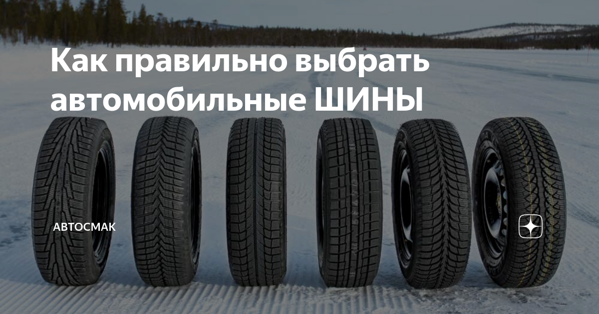 Как правильно выбрать автомобильные ШИНЫ | АвтоСмак | Дзен