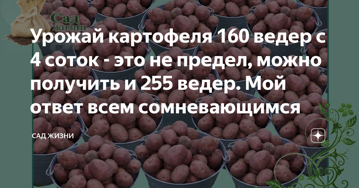 Определить урожайность картофеля