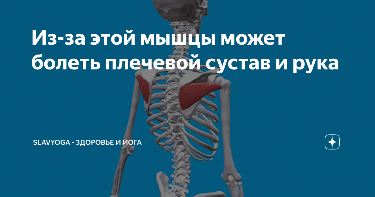 Рак болит плечо. Болит плечо 9 месяцев. Отлежал плечо болит что делать. Почему после езды на велосипеде болит плечевой сустав.