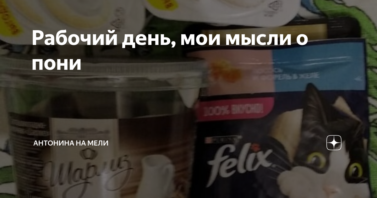Рабочий день, мои мысли о пони | Антонина на Мели | Дзен