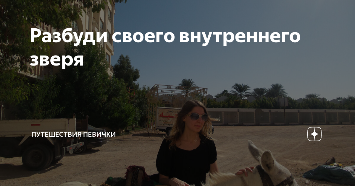 Разбуди своего внутреннего зверя | Путешествия певички | Дзен