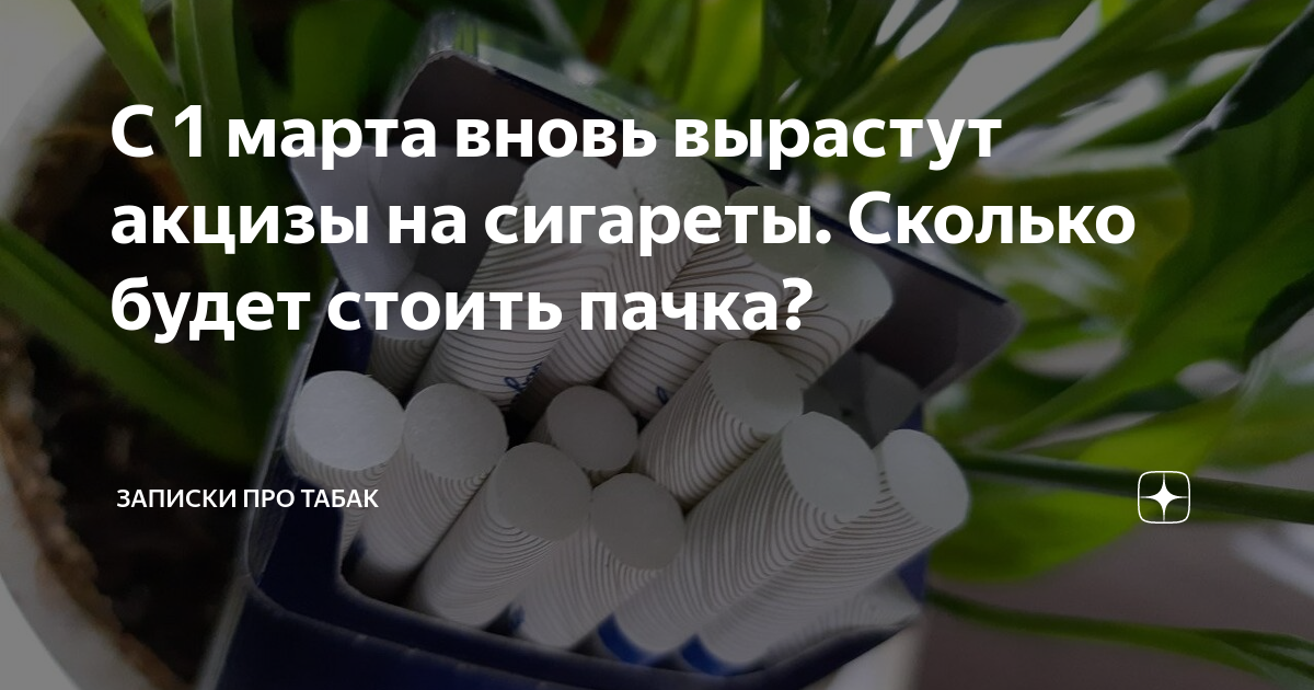 С 1 марта вновь вырастут акцизы на сигареты. Сколько будет стоить пачка ...