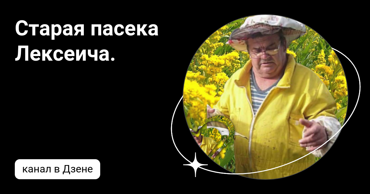 Старая пасека Лексеича. | Дзен