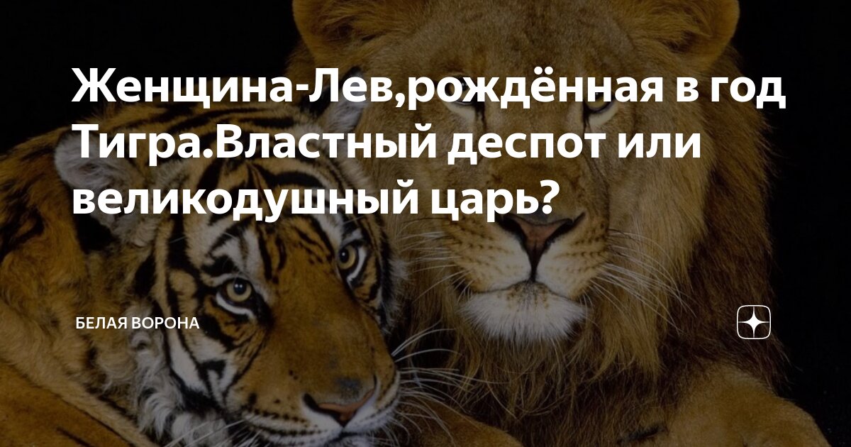 Тигры характер женщины. Год тигра. Люди родившиеся в год тигра. Женщина тигрица цитаты. Родился в год тигра.