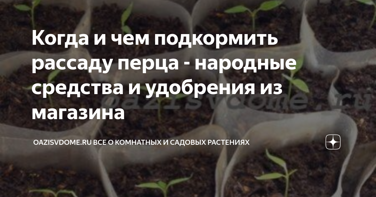 Чем подкормить перец для роста. Подкормка рассады перцев после всходов. Чем подкормить рассаду перца для роста народные средства. Чем подкормить рассаду перца после всходов. Чем подкормить рассаду перца два листочка