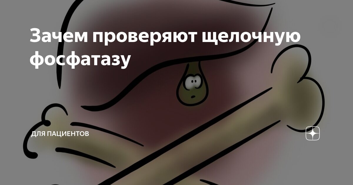 Анализ на щелочную фосфатазу: показания, как сдавать, результаты и расшифровка | Клиника МедПросвет