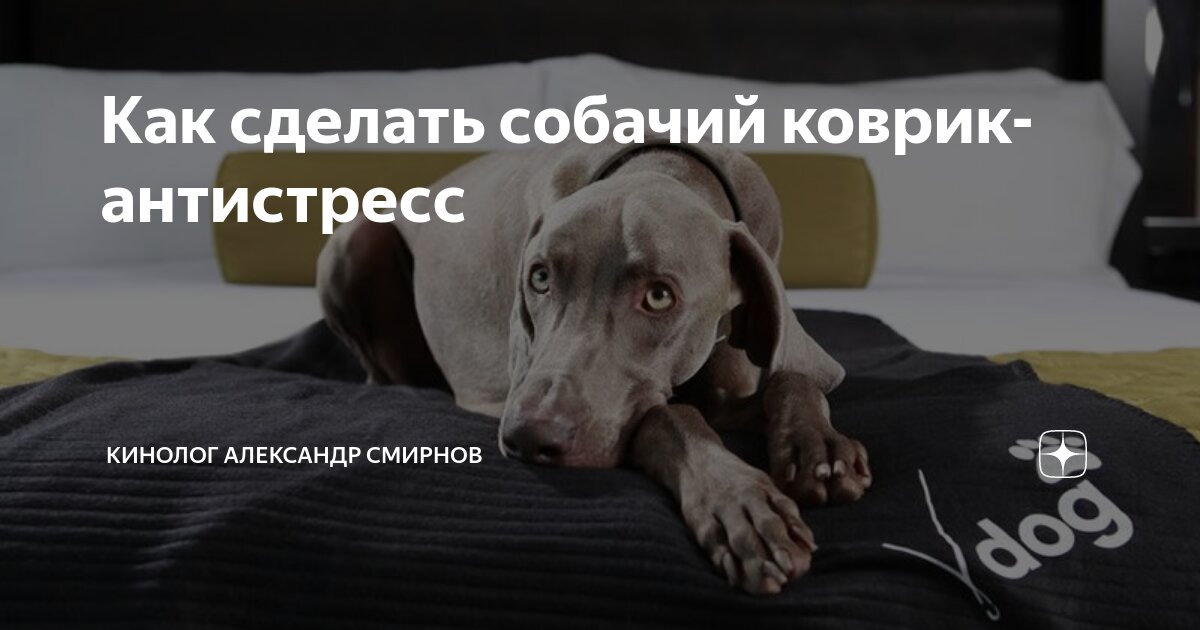 Как сделать собачий коврик-антистресс | Кинолог Александр Смирнов | Дзен