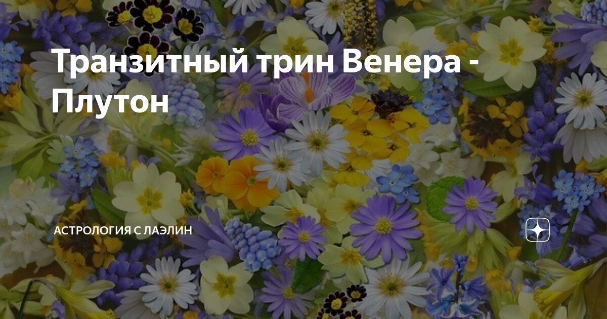 Транзитный Плутон в аспекте к Венере