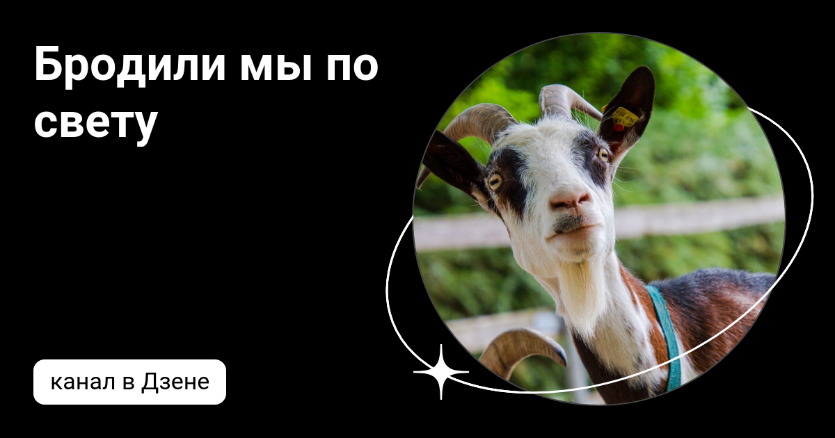 Бродили мы по свету | Дзен