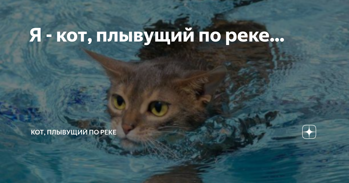 песня стас пьеха я лист плывущий по реке