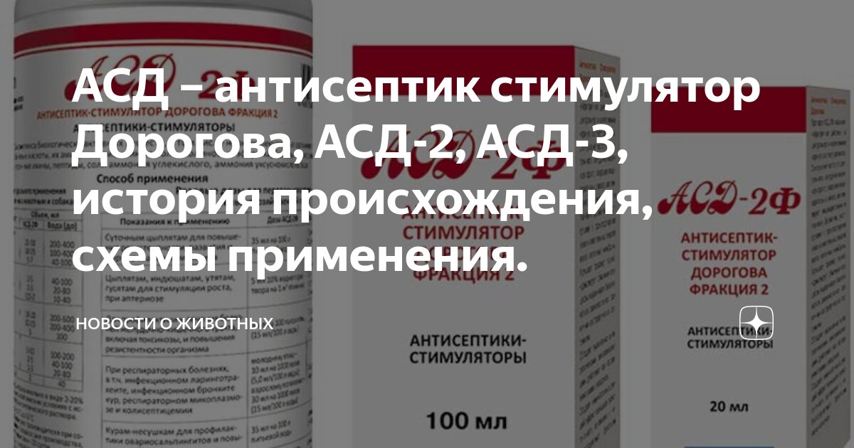 Консультация специалистов