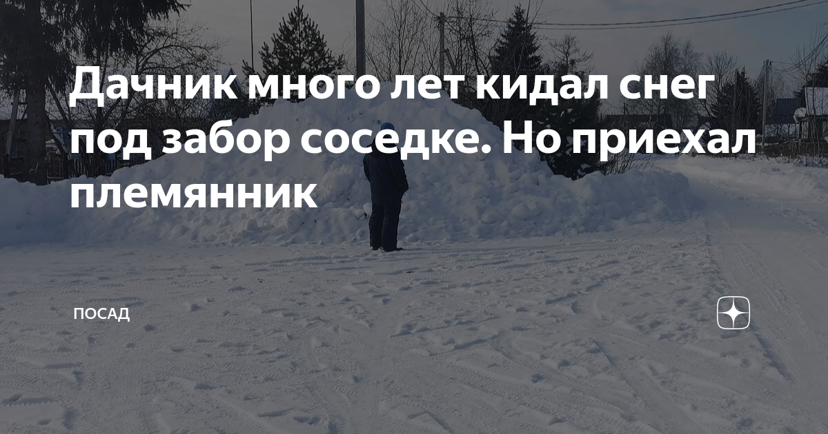 Племянник приехал. Кинул снежок в забор. Снег не кидать. Племянники приехали. Соседи кидают снег друг другу
