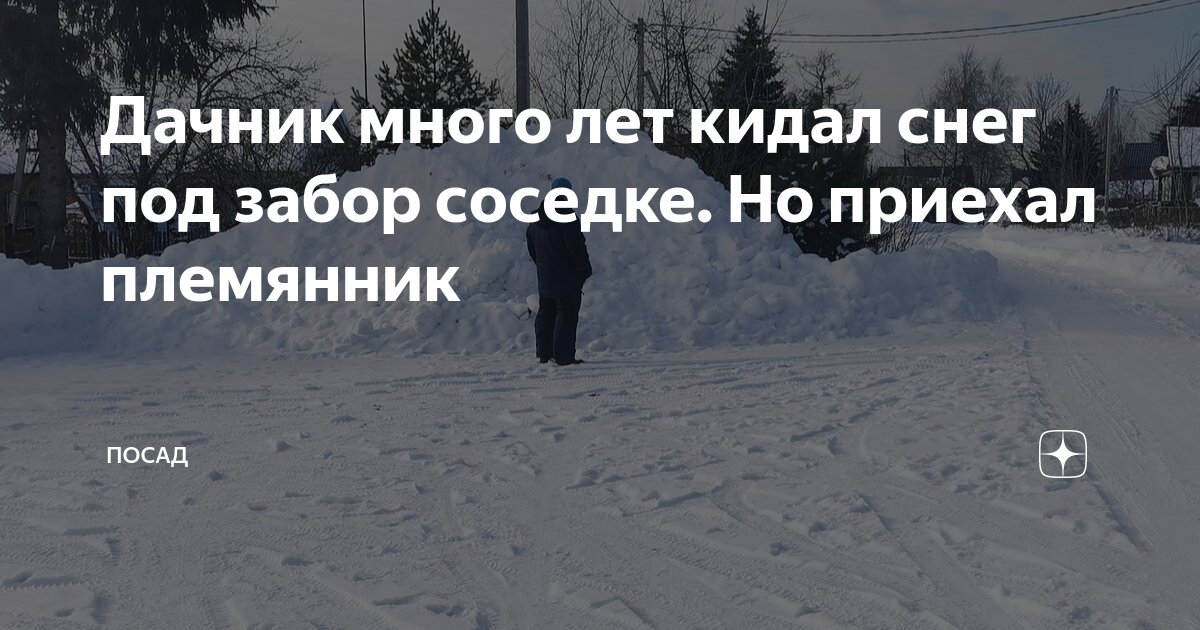 Племянник приехал. Кинул снежок в забор. Снег не кидать. Племянники приехали. Соседи кидают снег друг другу.