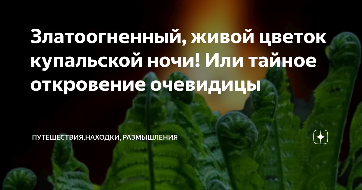 Златоогненный, живой цветок купальской ночи! Или тайное откровение ...