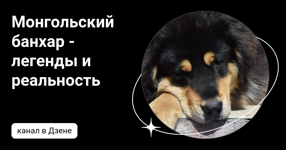 Монгольский банхар - легенды и реальность | Дзен