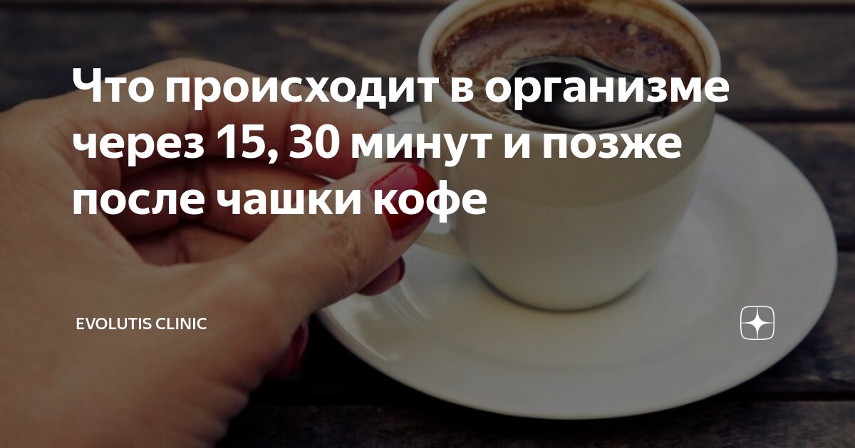 Клитор: всё, что нужно знать об источнике женского оргазма - Горящая изба