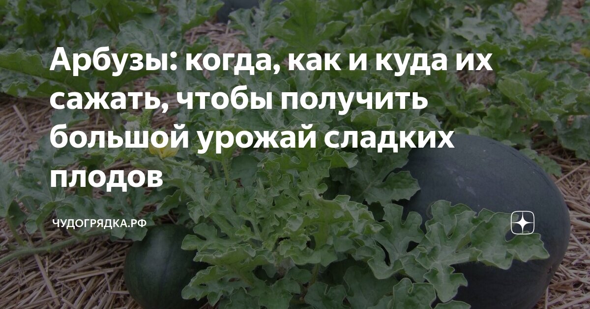 Ангелина Юрчак: «У меня не было дежурства, на котором я бы не улыбалась»