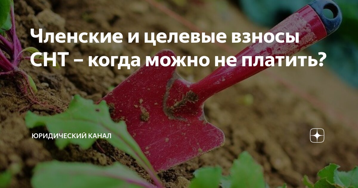 Членские и целевые взносы СНТ – когда можно не платить? | Юридический ...