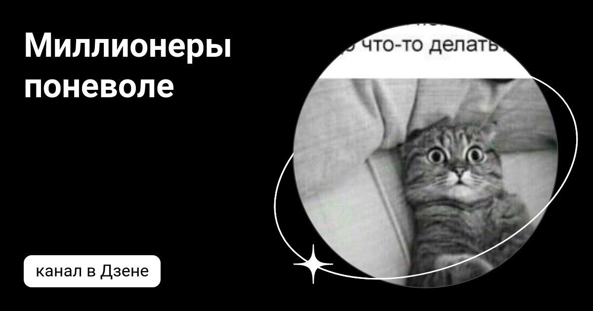 Миллионеры поневоле | Дзен