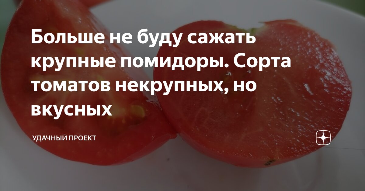 Больше не буду сажать крупные помидоры. Сорта томатов некрупных, но ...