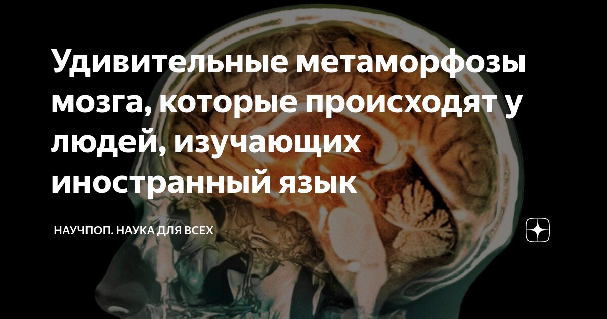 Метаморфозы организма во время сна: удивительные изменения, происходящие внутри нас