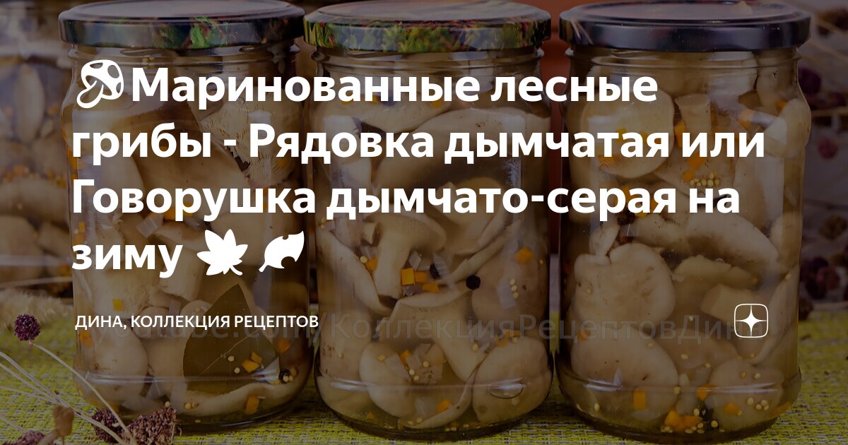 баклажаны огонек в аджике на зиму. коллекция рецептов дины на зиму. коллекция рецептов тесто. заготовка баклажанной икры на зиму. томатный соус с базиликом на зиму.