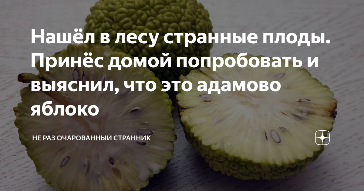 Нашёл в лесу странные плоды. Принёс домой попробовать и выяснил, что ...