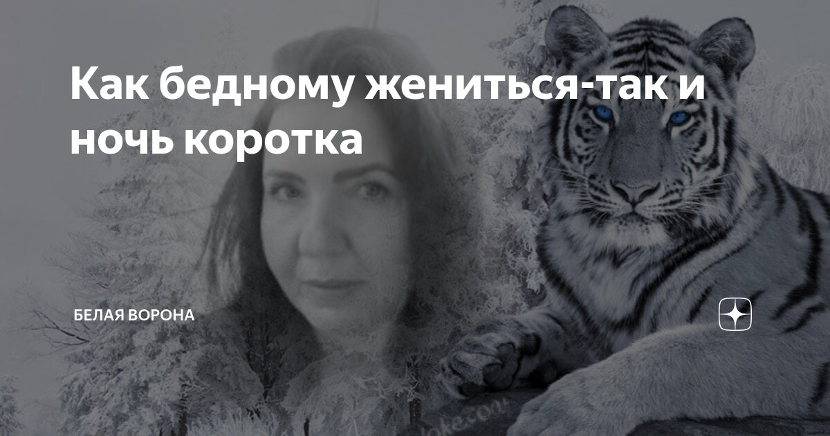 Белая ворона дзен отзывы. Бедному жениться и ночь коротка. белая ворона дзен. бедному жениться и ночь. бедному жениться и ночь коротка смысл.