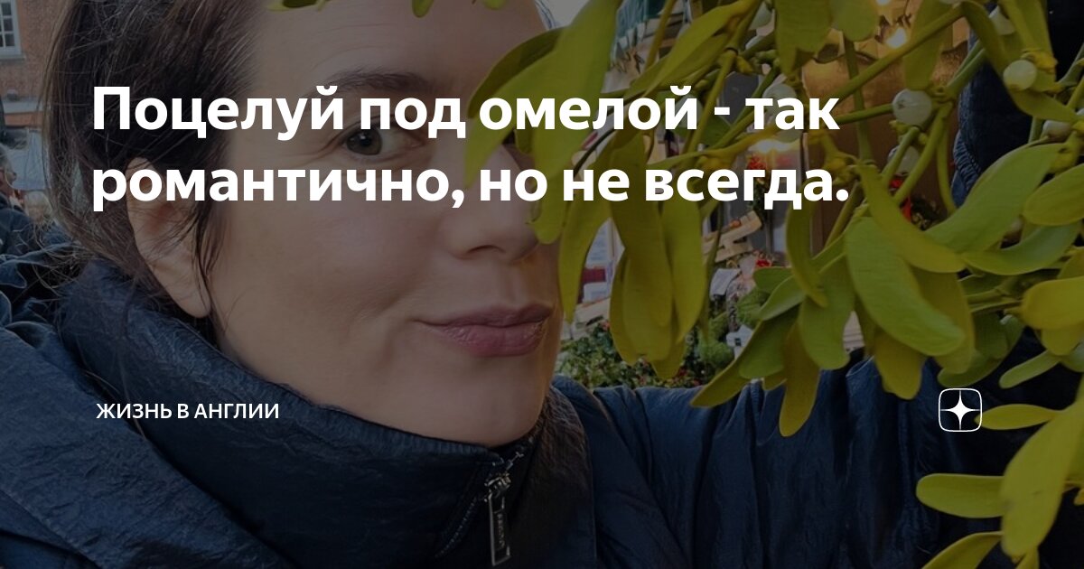 Поцелуй под омелой - так романтично, но не всегда. | Жизнь в Англии | Дзен