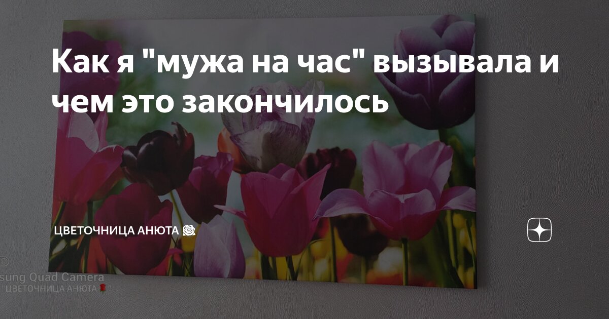 Как я "мужа на час" вызывала и чем это закончилось | Цветочница Анюта 🌹 ...